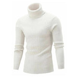 Gerben™ Pull Col Roulé Élégant pour Hommes